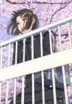 74386061p7.jpg