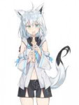 73841796p0.png