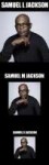 Samuel-L-Jackson-размеры-юмор-расизм-4011334.jpeg