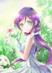 Toujou.Nozomi.full.2244322.png