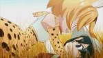 [HorribleSubs] Kemono Friends - 01 [720p].mkv20171217184230[...].jpg