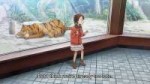 [HorribleSubs] Mitsuboshi Colors - 05 [1080p].mkvsnapshot11[...].jpg