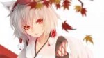 anime-girls-anime-wolf-girls-touhou-inubashiri-momiji-1080P[...].jpg