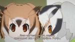 7 серия Друзья-зверушки  Kemono Friends русские субтитры - [...].png