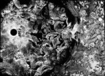 berserk-v27c228p050-51rus.jpg