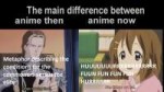 .jpg
