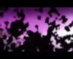 .webm