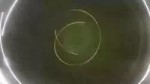 kiznaiver.webm