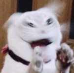 6TlMv4sqHVE.jpg