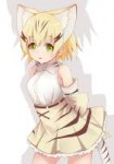 Sand.Cat.(Kemono.Friends).full.2097112.jpg