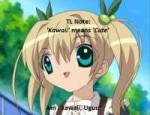 df8.jpg