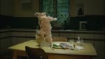 .webm
