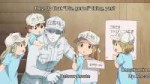 [HorribleSubs] Hataraku Saibou - 08 [1080p].mkvsnapshot15.0[...].jpg