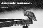 аллах любит терпеливых.jpg