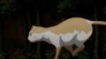 vlcsnap-2018-08-31-03h30m00s931.jpg
