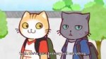 vlcsnap-2018-08-31-16h43m21s758.jpg