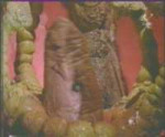 lexx2-10d.jpg
