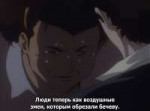 .jpg