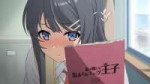 [HorribleSubs] Seishun Buta Yarou wa Bunny Girl Senpai no Y[...].jpg
