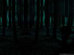 90338dark-forest-hd-wallpapers-widescreen-resolution1920x10[...].png
