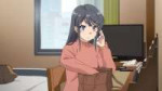 Seishun Buta Yarou wa Bunny Girl Senpai no Yume wo Minai - [...].jpg