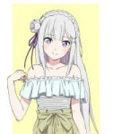 Emilia  ReZero .jpeg.jpg