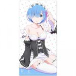 rezero-kara-hajimeru-isekai-seikatsu-120cm-big-towel-rem-do[...].jpg