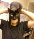 catman01.jpg