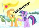 brohoof.png