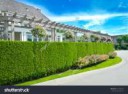 stock-photo-nicely-trimmed-green-fence-with-big-custom-made[...].jpg