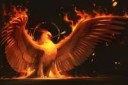 Fire-arrow-font-b-phoenix-b-font-bird-art-wings-font-b-Phoe[...].jpg