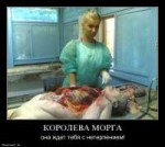 koroleva-morga8809demotivatorz.ru.jpg