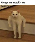 MWvZgOVYrrs[1].jpg