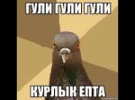 hqdefault.jpg