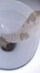 IMG20180618015205.jpeg
