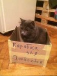 DT1LQaXkAAIKxu.jpg
