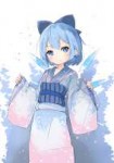 Anime-Cirno-Touhou-Project-small-rabbit-4424345.jpeg