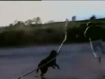 dogg.mp4