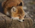 IMG20180502204601.jpg