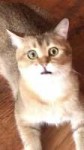 IMG20180626205242.jpg