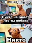 1530088819866.jpeg