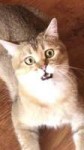 IMG20180626205243.jpg