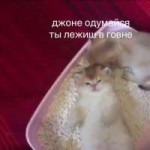 hiMNZagIy0.jpg