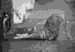 1530091776702.jpeg