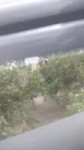 IMG20180627145400.jpeg
