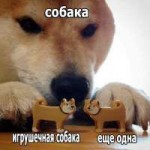 QP6ERGrCV0.jpg