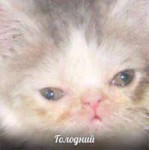 DfEc4tpX0AElyH.jpg