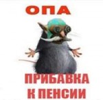 q5XskNdW5R8.jpg