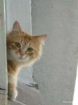 DSC00954.JPG