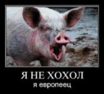 изображение.png
